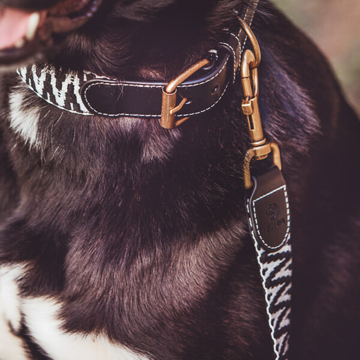 Dogs with long premium dog lead is 3-way adjustable 1.80m in black/white Detail