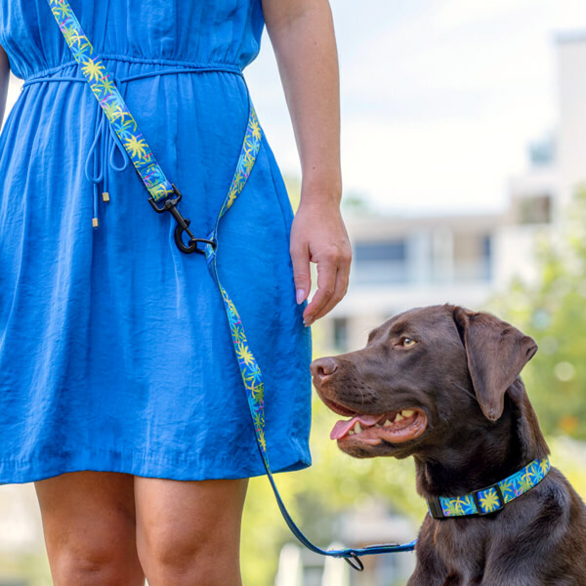 Dog with multifunctional lead and collar Kunterbunt Palm Beach 200cm