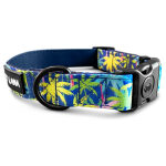 Dog collar Palm Beach Padded with safety clasp