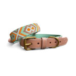 Premium padded dog collar - mint/orange - Image 5