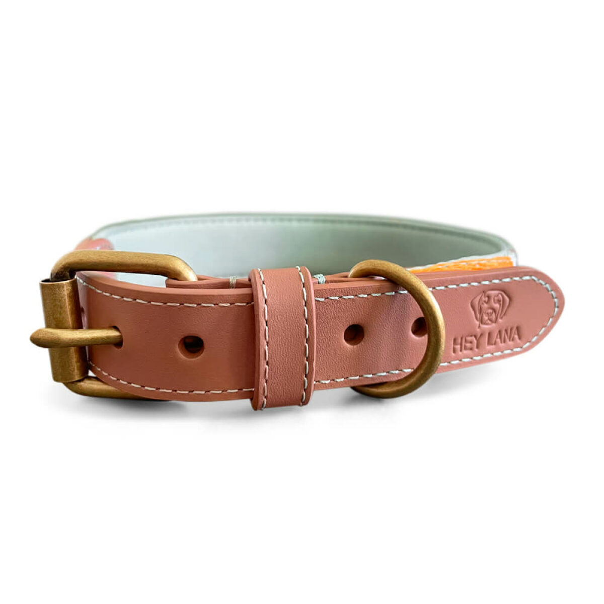 Premium padded dog collar in mint/orange at the front