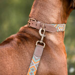 Dog with premium dog collar and lead padded in mint/orange Detail