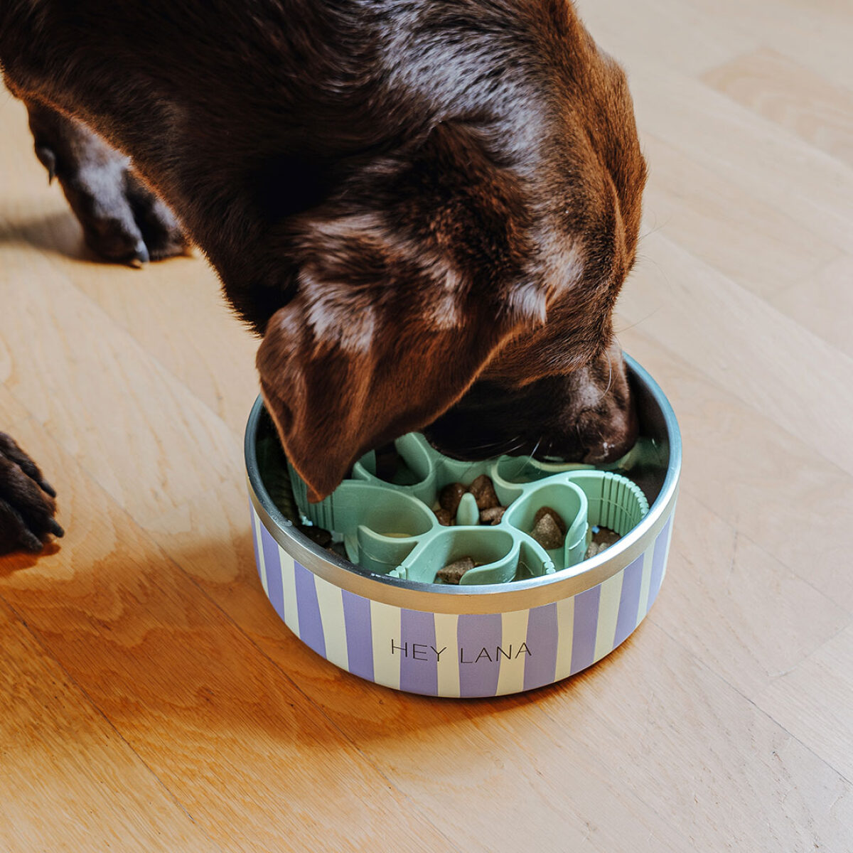 Gourmet Guard - Slow-food insert for food bowl - Image 1