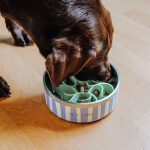 Gourmet Guard - Slow-food insert for food bowl