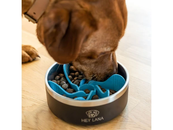 Dog eats with gourmet brake - Anti-snare insert for dog food bowl