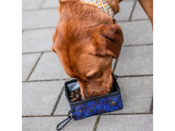 PfotenPicknick portable dog drinking and feeding bowl Dog eats