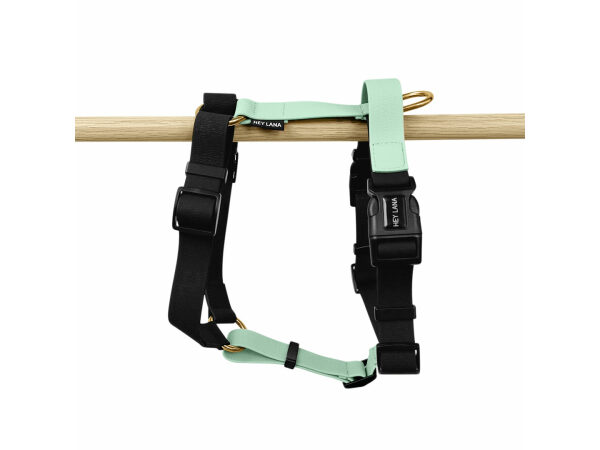 Outdoor dog harness hanging black mint
