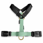 Outdoor Flex dog harness black lying down Handle from behind