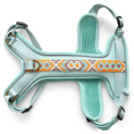 Premium padded dog harness Tres Chic in mint/orange at the front