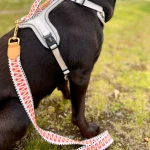 Dog with short dog lead Tres Chic 1.20m in pink/beige