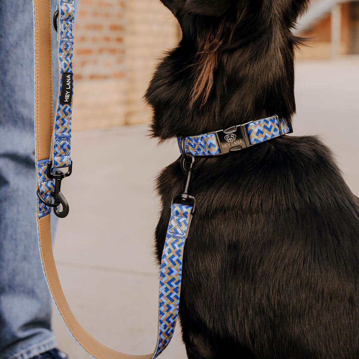 Kunterbunt dog collar and lead in Moccha/blue