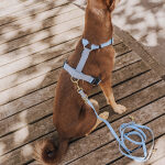 Lead harness - Outdoor FLEX - 5-way adjustable with handle - Taupe/Blue - Image 5