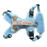 Premium Hundegeschirr Gepolstert - Coral/Blau – Bild 2