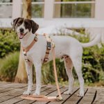 Outdoor FLEX lead - 3-way adjustable - mocha mousse/beige