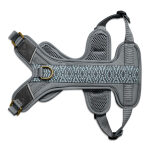 Premium padded dog harness - anthracite/ice blue - Image 5
