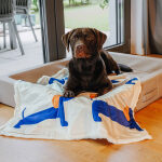 The Cozy Pup - Hundedecke