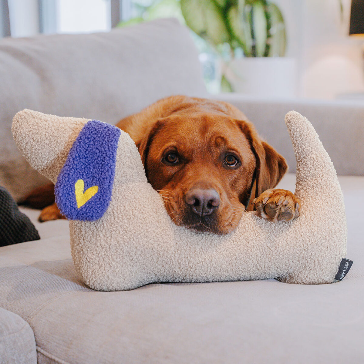 The Snuggle Pup - Dog pillow - Image 1