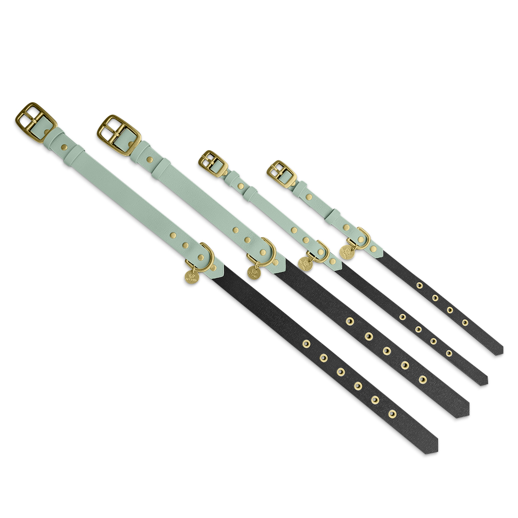 Outdoor-Halsband-alle-4-groessen Hundehalsband Outdoor FLEX – Wasserfest – Schwarz/Mint – Bild 6