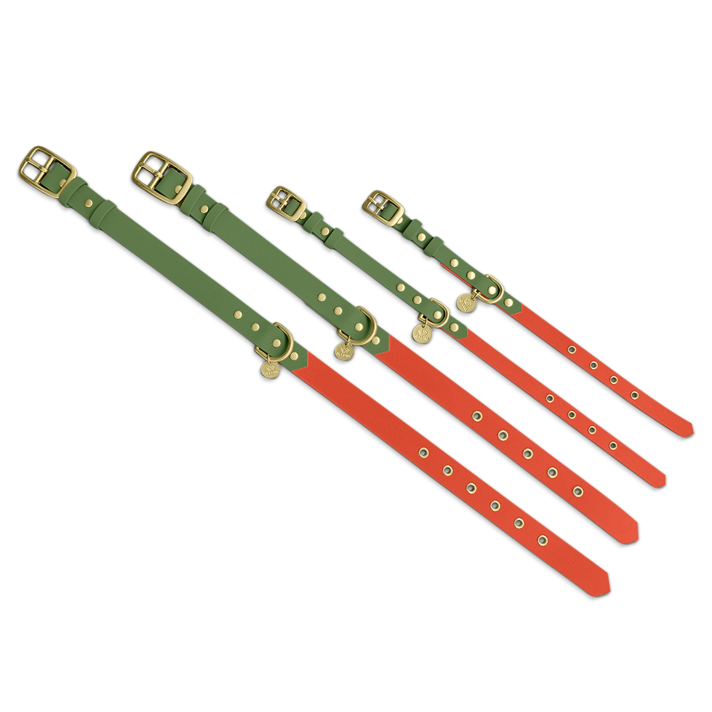 Outdoor-Halsband-alle-4-groessen-neonorange-gruen Dog collar Outdoor FLEX - Waterproof - Neon orange/green - Image 6