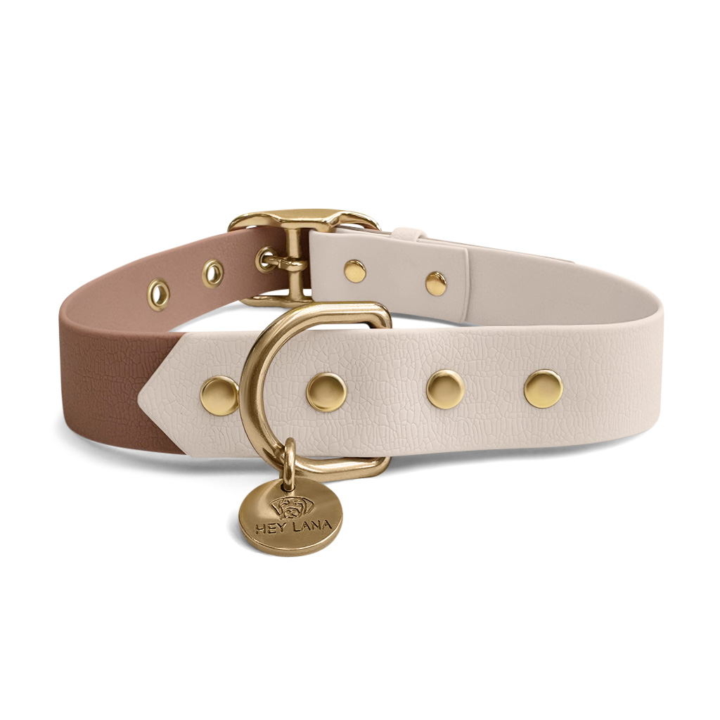 Outdoor-Halsband-mocca-mousse-hinten Hundehalsband Outdoor FLEX – Wasserfest – Mocca/Mousse – Bild 4