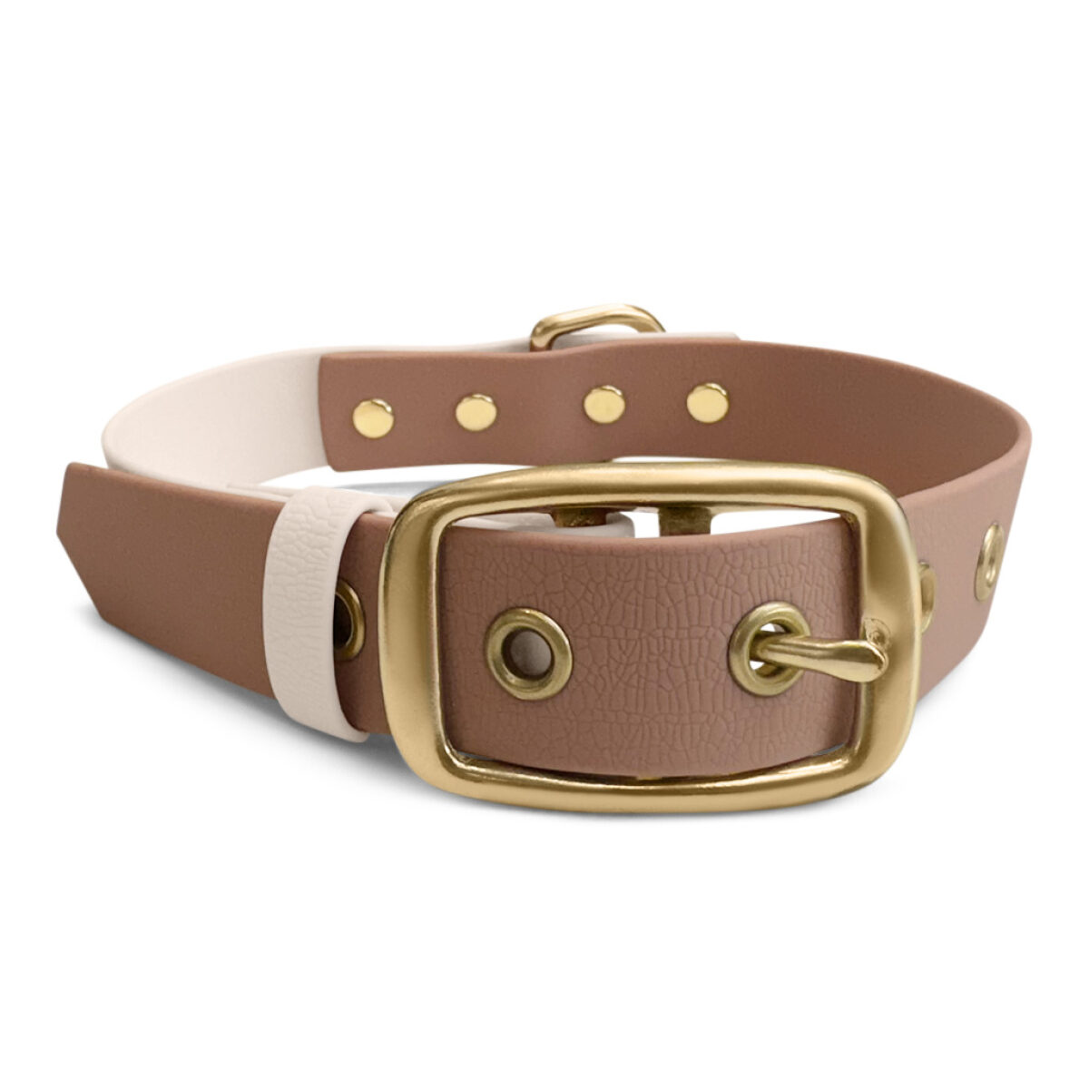 Hundehalsband Outdoor FLEX – Wasserfest – Mocca/Mousse – Bild 2