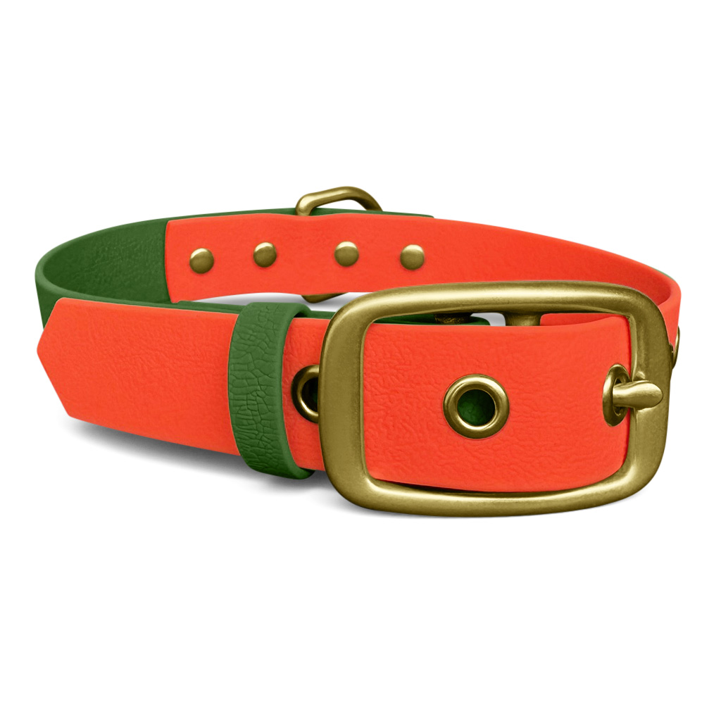 Outdoor-Halsband-neonorange-gruen-vorne Dog collar Outdoor FLEX - Waterproof - Neon orange/green - Image 2