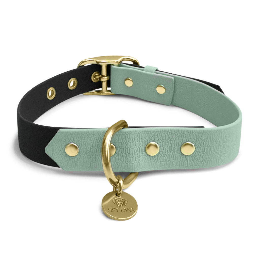 Outdoor-Halsband-schwarz-mint-hinten Hundehalsband Outdoor FLEX – Wasserfest – Schwarz/Mint – Bild 4