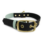 Hundehalsband Outdoor FLEX – Wasserfest – Schwarz/Mint – Bild 2
