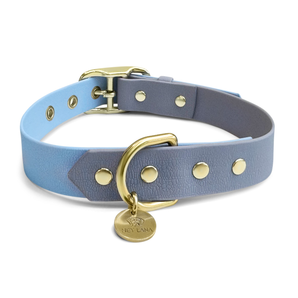 Outdoor-Halsband-taupe-blau-hinten Dog collar Outdoor FLEX - Waterproof - Taupe/Blue - Image 2