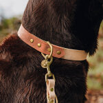 Hundehalsband Outdoor FLEX – Wasserfest – Mocca/Mousse