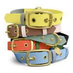 Dog collar Outdoor FLEX - Waterproof - Taupe/Blue - Image 7