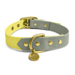 Hundehalsband Outdoor FLEX – Wasserfest – Lemon/Seagrass – Bild 4