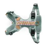 Premium Hundegeschirr Gepolstert - Sunset/Eukalyptus – Bild 2