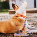 Premium lead - 3-way adjustable - 2m - Sunset/Eucalyptus