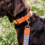 Premium lead - 3-way adjustable - 2m - Sunset/Eucalyptus - Image 5