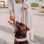 Walk Pouch 2 in 1 – Leckerlibeutel & Kotbeutelspender Pink/Beige – Bild 5