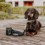 Walk Pouch 2 in 1 – Leckerlibeutel & Kotbeutelspender Schwarz – Bild 4