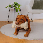 The Snuggle Bone – Premium Cuddly Toy - Image 4