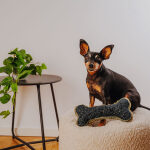 The Snuggle Bone – Premium Cuddly Toy - Image 2