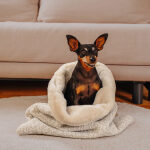 The Snuggle Cave – Premium Dog Blanket with Cave – Sand/Beige - Image 4
